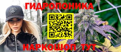гидра Волгодонск