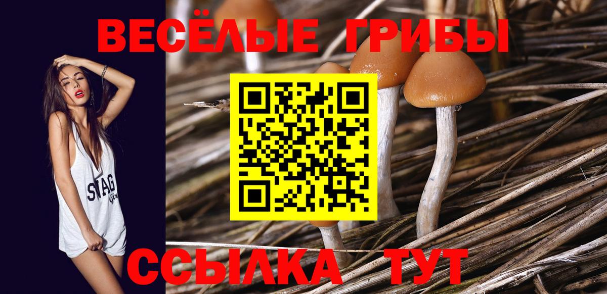 Галлюциногенные грибы GOLDEN TEACHER  цена   Нерюнгри  Вход с VPN 